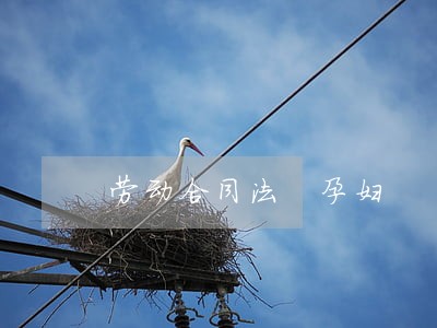 劳动合同法 孕妇 劳动合同法 孕妇